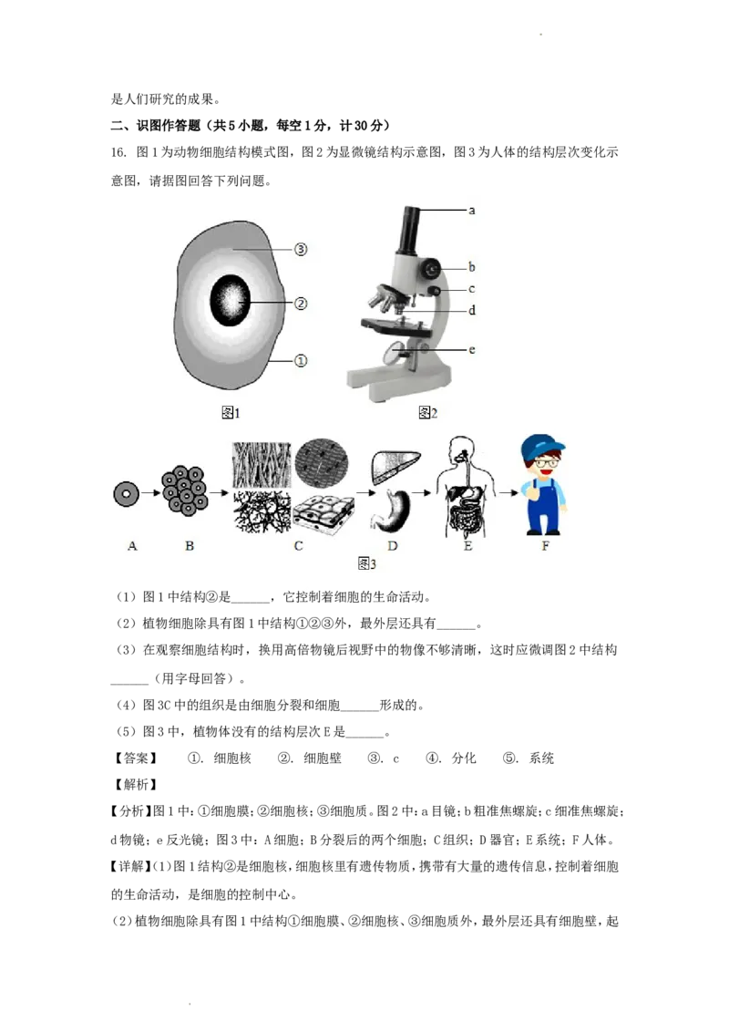 《2020年辽宁省抚顺市中考生物真题及答案_12.2026年4月全国各地高考模拟卷_2026版初中金考卷•45套中考试卷汇编系列合集_全国版中考真题(1)_辽宁各地中考_辽宁生物（24）_抚顺生物2019-20》第8页预览