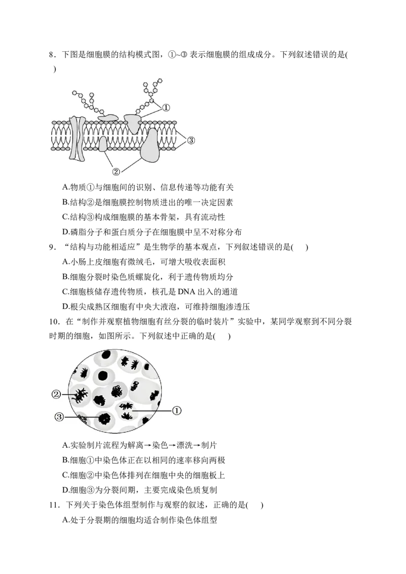 《浙江省丽水市发展共同体2025-2026学年高一下学期4月期中生物试卷（含答案）_2024-2027高一（7-7月题库）(1)_2026年05月高一试卷》第2页预览
