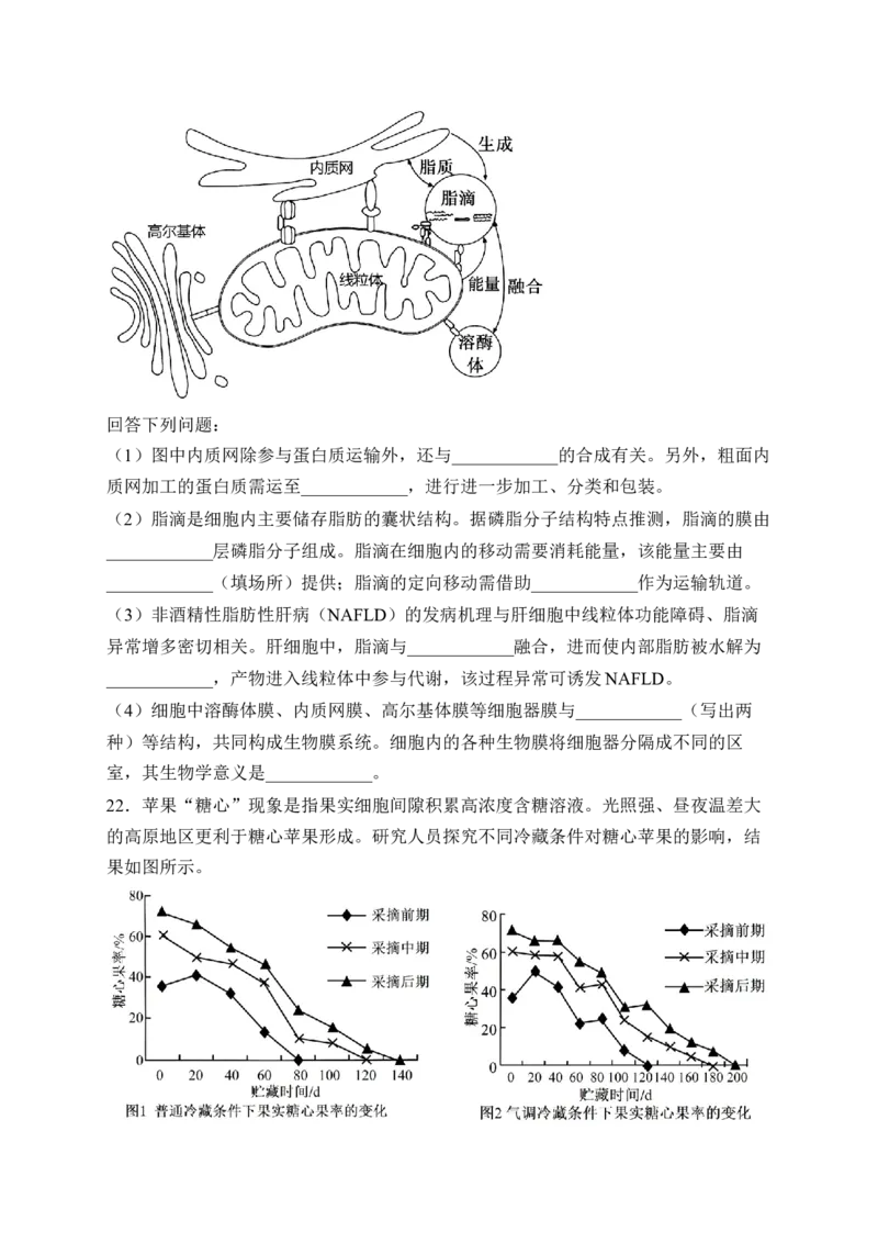 《浙江省丽水市发展共同体2025-2026学年高一下学期4月期中生物试卷（含答案）_2024-2027高一（7-7月题库）(1)_2026年05月高一试卷》第6页预览