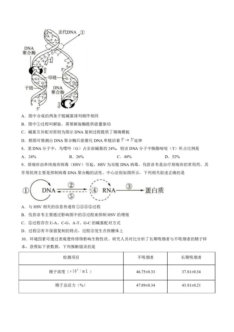《河北省保定市百师联盟2025-2026学年高一下学期6月阶段检测生物试卷(扫描版含答案)_2024-2027高一（7-7月题库）(1)_2026年06月高一试卷》第3页预览