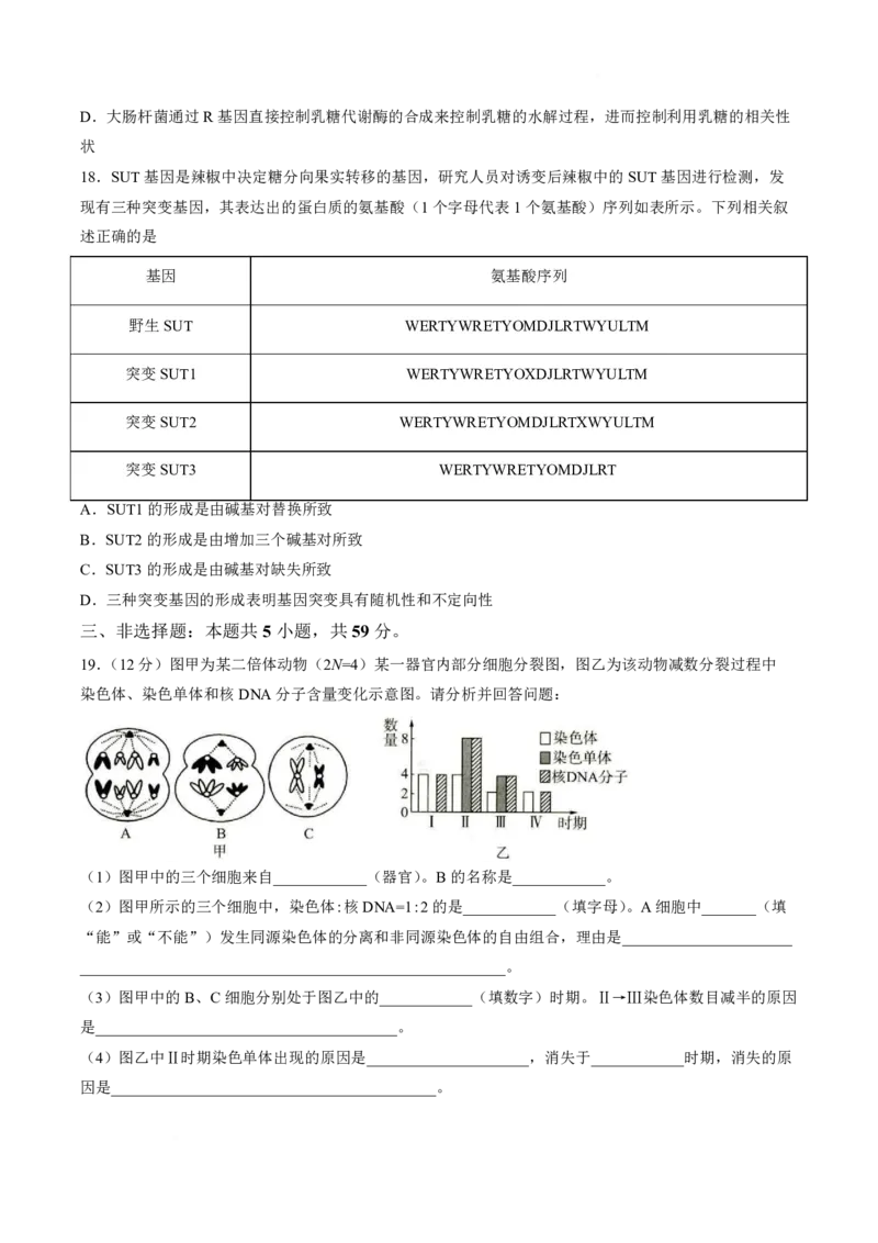 《河北省保定市百师联盟2025-2026学年高一下学期6月阶段检测生物试卷(扫描版含答案)_2024-2027高一（7-7月题库）(1)_2026年06月高一试卷》第6页预览