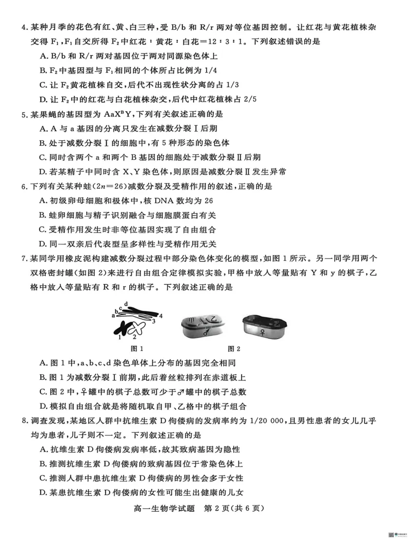《河北省沧州市沧衡八县联考2025-2026学年高一下学期5月期中生物试题（扫描版，含答案）_2024-2027高一（7-7月题库）(1)_2026年05月高一试卷》第2页预览