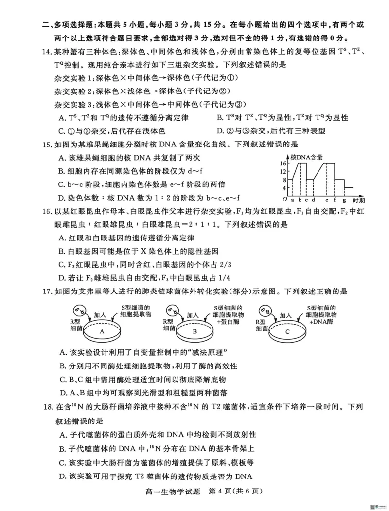 《河北省沧州市沧衡八县联考2025-2026学年高一下学期5月期中生物试题（扫描版，含答案）_2024-2027高一（7-7月题库）(1)_2026年05月高一试卷》第4页预览