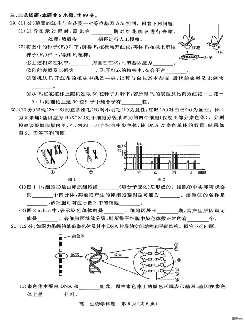 《河北省沧州市沧衡八县联考2025-2026学年高一下学期5月期中生物试题（扫描版，含答案）_2024-2027高一（7-7月题库）(1)_2026年05月高一试卷》第5页预览