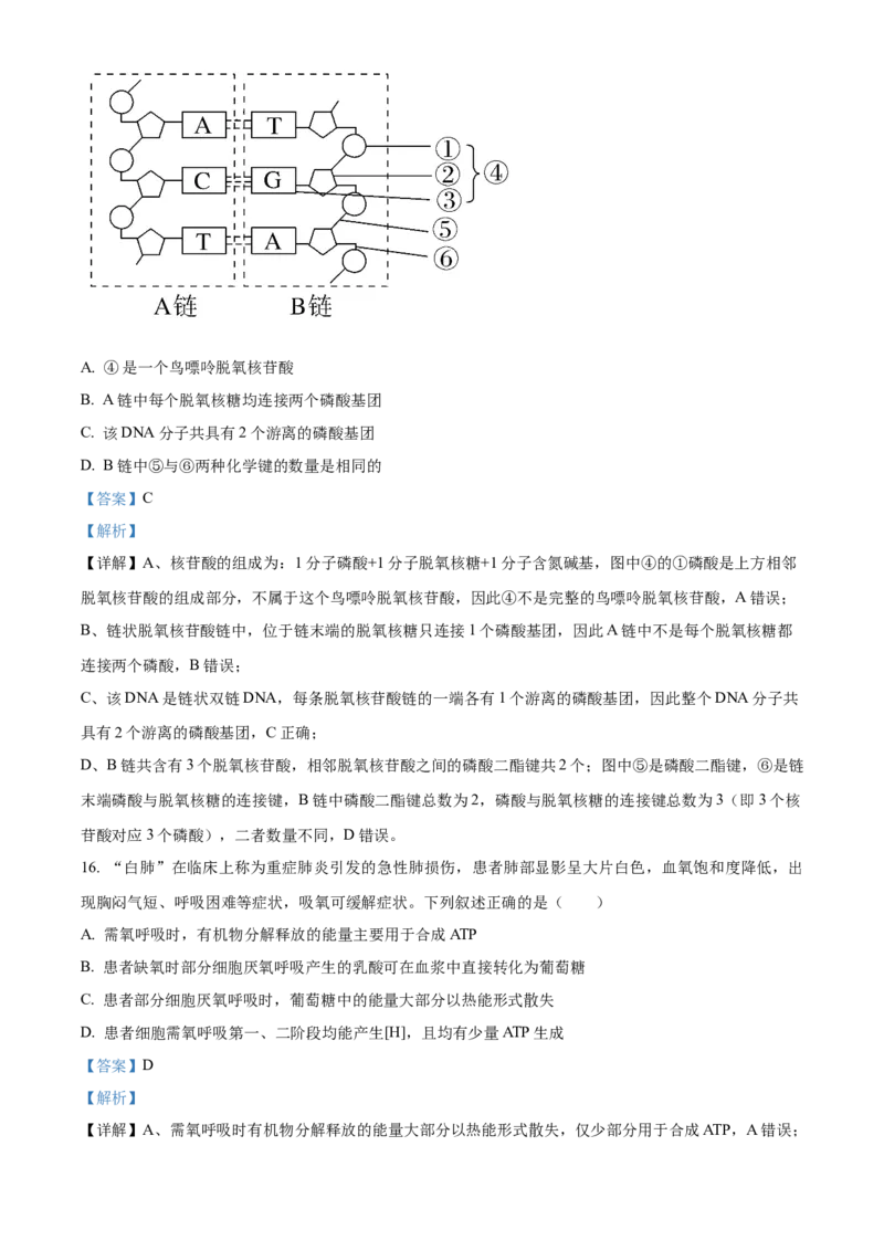 《浙江省北斗联盟2025—2026学年高一下学期期中联考生物试题Word版含解析_2024-2027高一（7-7月题库）(1)_2026年05月高一试卷》第7页预览