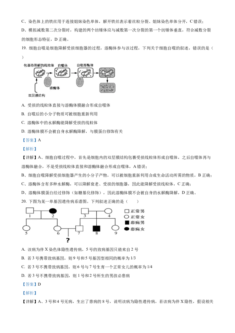 《浙江省北斗联盟2025—2026学年高一下学期期中联考生物试题Word版含解析_2024-2027高一（7-7月题库）(1)_2026年05月高一试卷》第9页预览