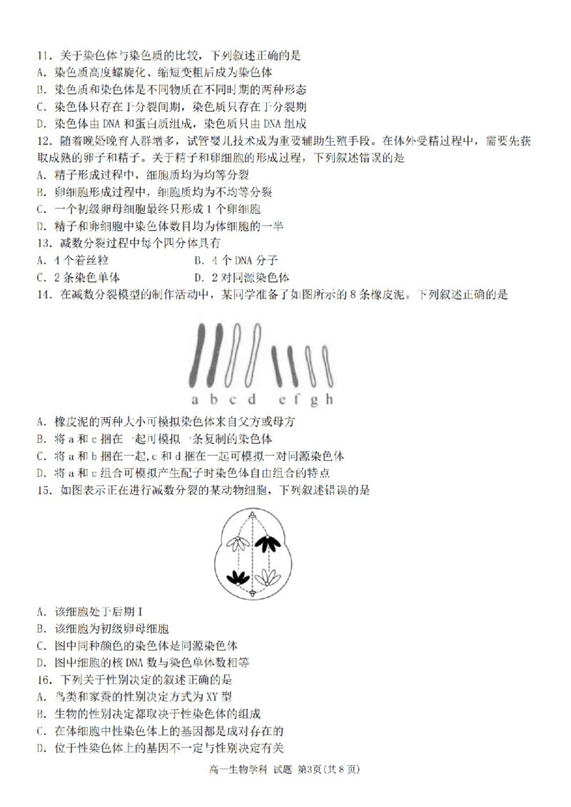 《浙江省嘉兴市八校联盟2025-2026学年高一下学期期中联考生物试题PDF版含答案_2024-2027高一（7-7月题库）(1)_2026年05月高一试卷》第3页预览