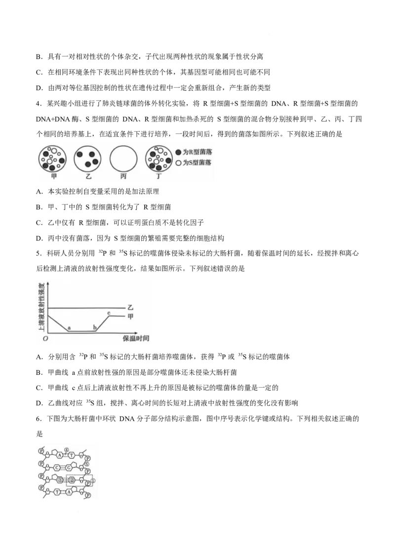 《河北省邢台市质检联盟2025-2026学年高一下学期6月阶段检测生物试题_2024-2027高一（7-7月题库）(1)_2026年06月高一试卷_260622河北省邢台市质检联盟2025-2026学年高一下学期6月阶段检测》第2页预览