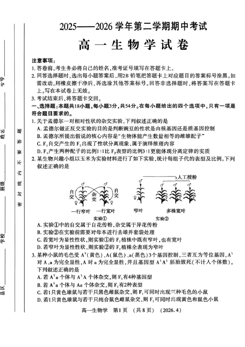 《河南省洛阳市2025-2026学年第二学期期中考试高一生物试卷_2024-2027高一(7-7月题库)(1)_2026年05月高一试卷_260504河南省洛阳市2025-2026学年高一下学期期中(全)》第1页预览