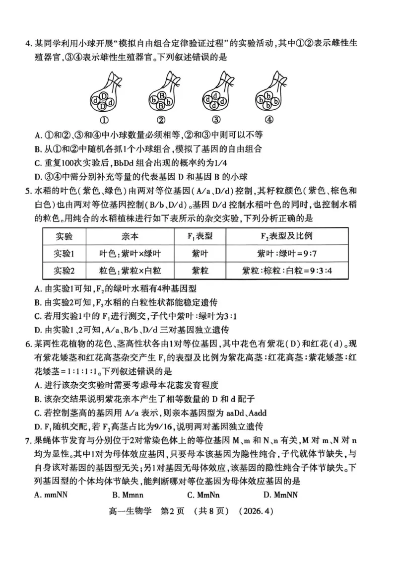 《河南省洛阳市2025-2026学年第二学期期中考试高一生物试卷_2024-2027高一(7-7月题库)(1)_2026年05月高一试卷_260504河南省洛阳市2025-2026学年高一下学期期中(全)》第2页预览