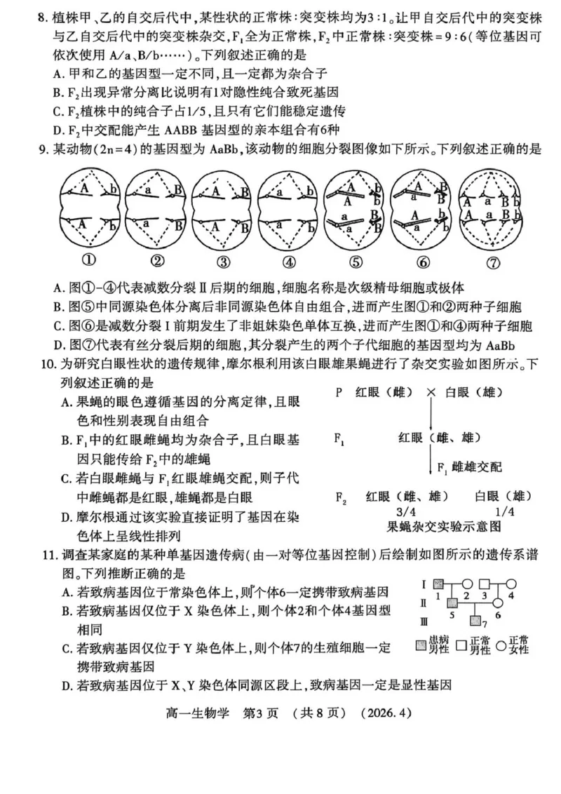 《河南省洛阳市2025-2026学年第二学期期中考试高一生物试卷_2024-2027高一(7-7月题库)(1)_2026年05月高一试卷_260504河南省洛阳市2025-2026学年高一下学期期中(全)》第3页预览
