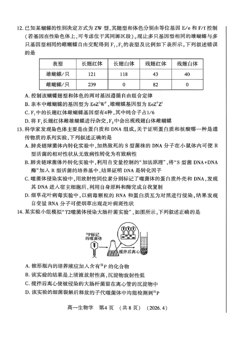 《河南省洛阳市2025-2026学年第二学期期中考试高一生物试卷_2024-2027高一(7-7月题库)(1)_2026年05月高一试卷_260504河南省洛阳市2025-2026学年高一下学期期中(全)》第4页预览
