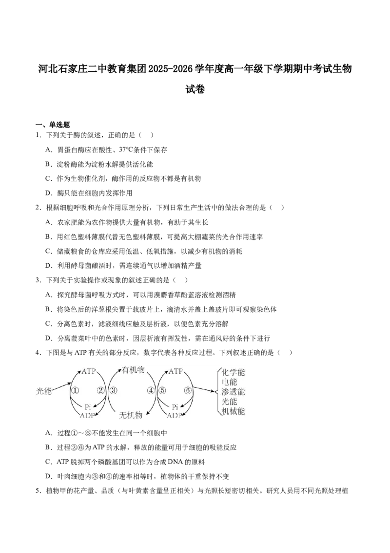 《河北省石家庄市第二中学2025-2026学年高一下学期5月期中考试生物试卷(有答案)_2024-2027高一（7-7月题库）(1)_2026年05月高一试卷》第1页预览