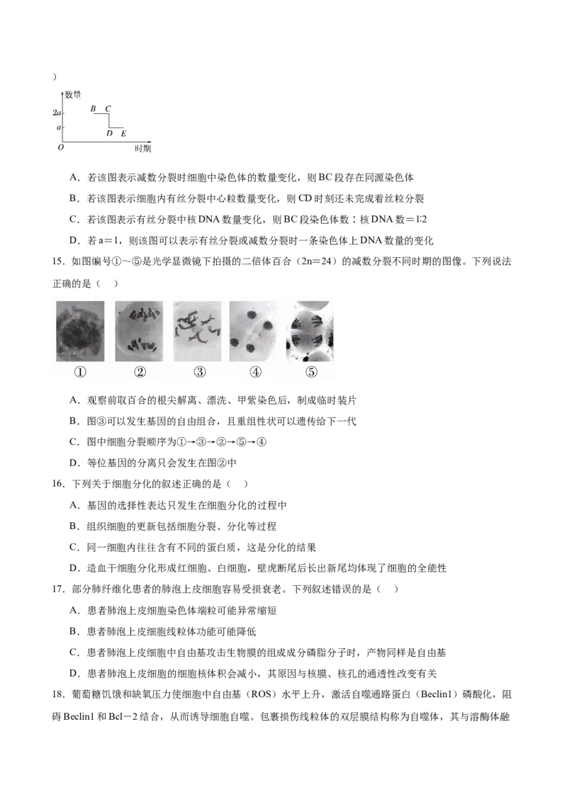 《河北省石家庄市第二中学2025-2026学年高一下学期5月期中考试生物试卷(有答案)_2024-2027高一（7-7月题库）(1)_2026年05月高一试卷》第5页预览