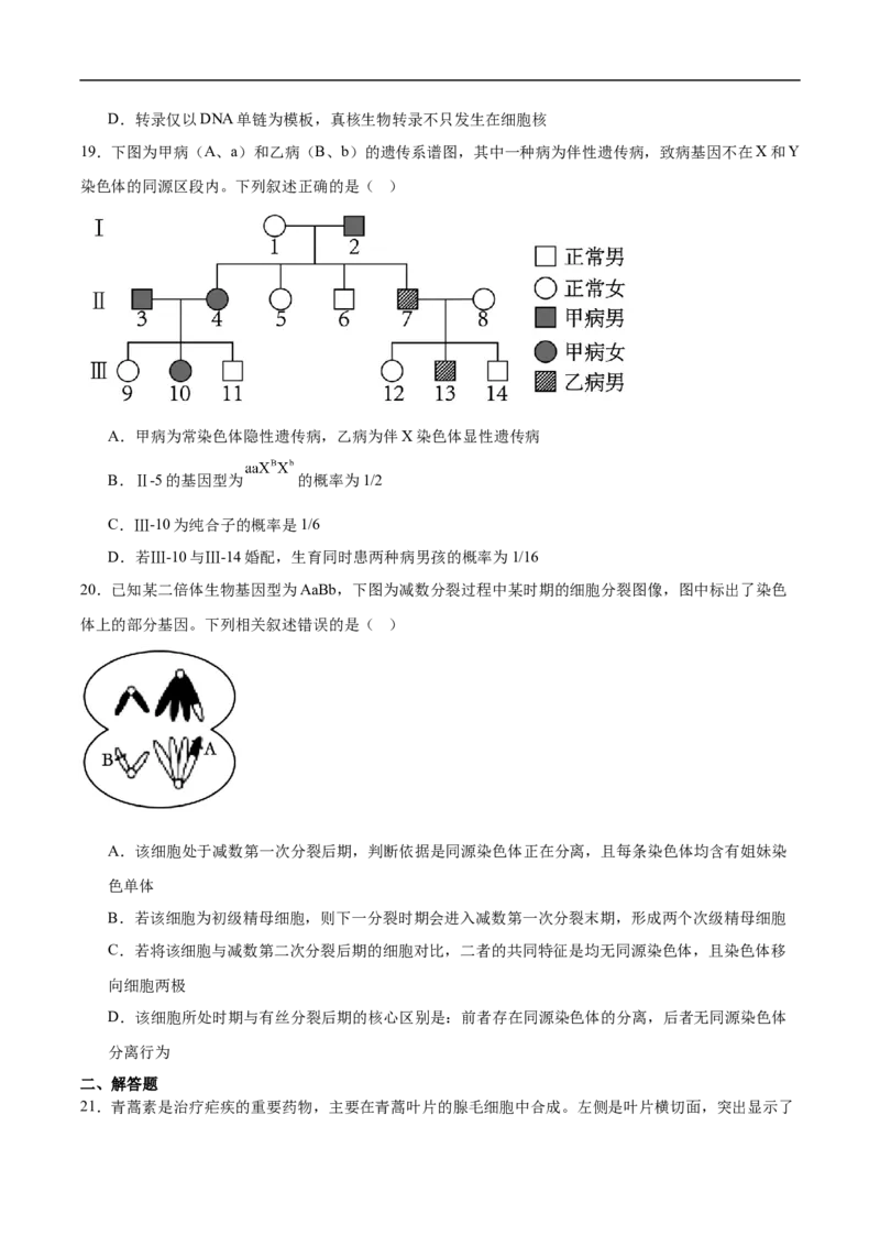 《浙江省金华市卓越联盟2025-2026学年高一下学期5月阶段检测生物试卷（含答案）_2024-2027高一（7-7月题库）(1)_2026年06月高一试卷》第5页预览