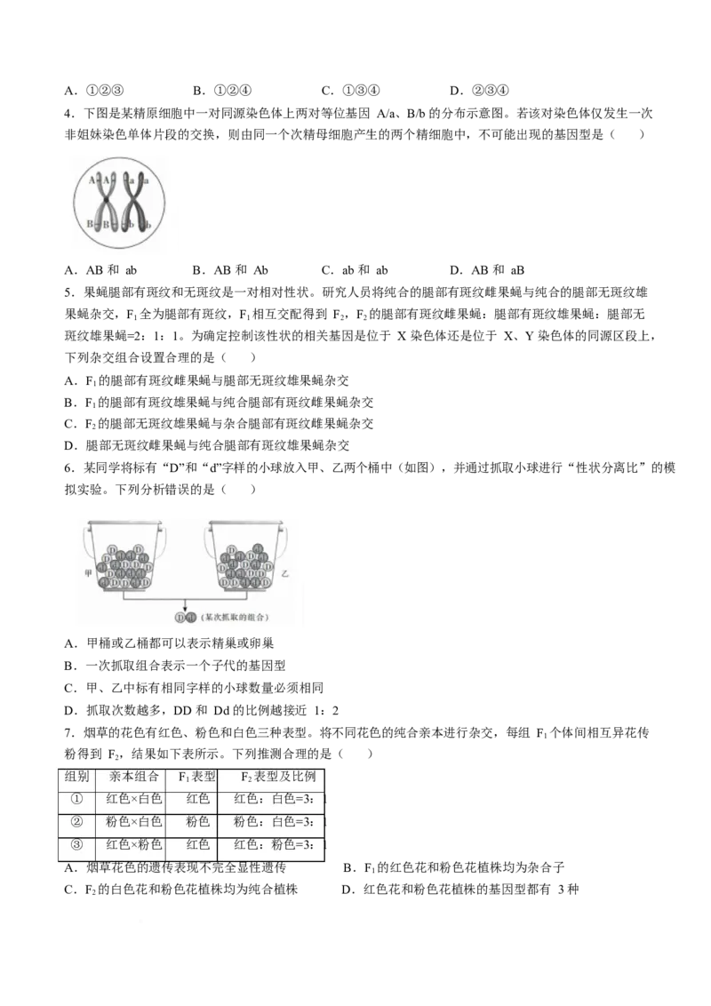 《广东省湛江市部分学校2025-2026学年高一下学期5月学情检测试题生物Word版含解析_2024-2027高一（7-7月题库）(1)_2026年06月高一试卷》第2页预览