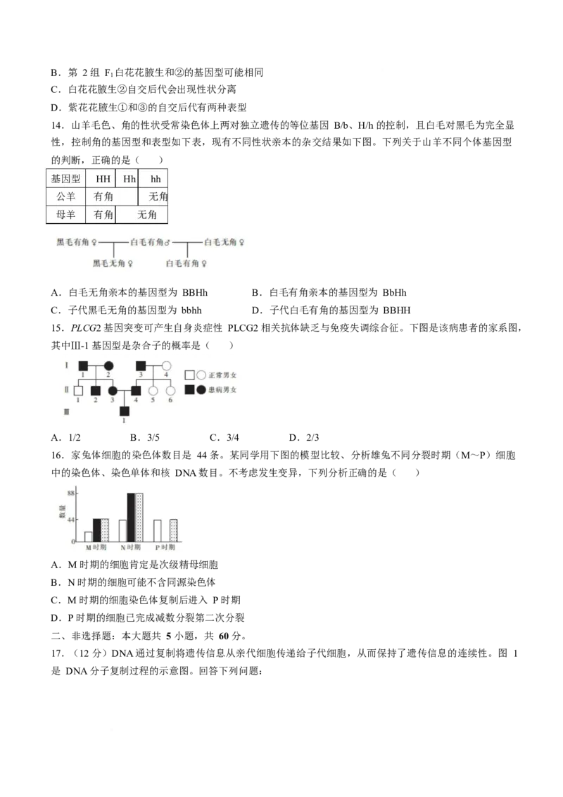 《广东省湛江市部分学校2025-2026学年高一下学期5月学情检测试题生物Word版含解析_2024-2027高一（7-7月题库）(1)_2026年06月高一试卷》第4页预览