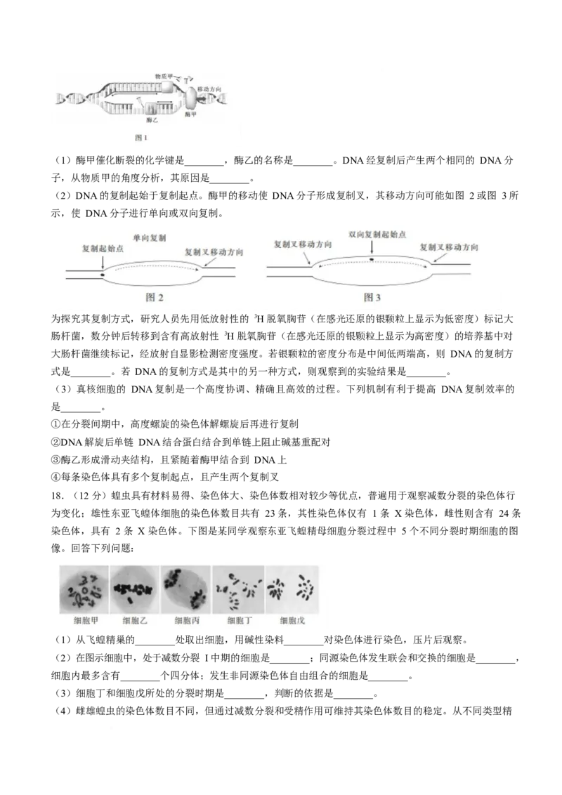 《广东省湛江市部分学校2025-2026学年高一下学期5月学情检测试题生物Word版含解析_2024-2027高一（7-7月题库）(1)_2026年06月高一试卷》第5页预览