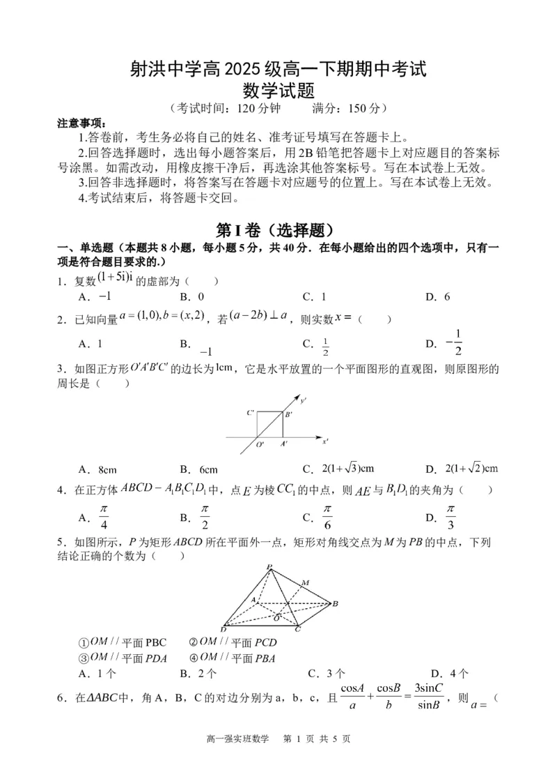 《数学试题docx_2024-2027高一（7-7月题库）(1)_2026年05月高一试卷_260521四川省遂宁市射洪中学2025-2026学年高一下学期期中考试（全）》第1页预览