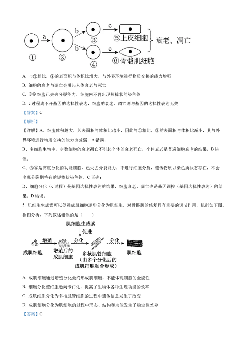 《湖北恩施土家族苗族自治州恩施州高中教学联盟2025-2026学年高一下学期4月期中生物试题（解析版）_2024-2027高一（7-7月题库）(1)_2026年05月高一试卷》第3页预览