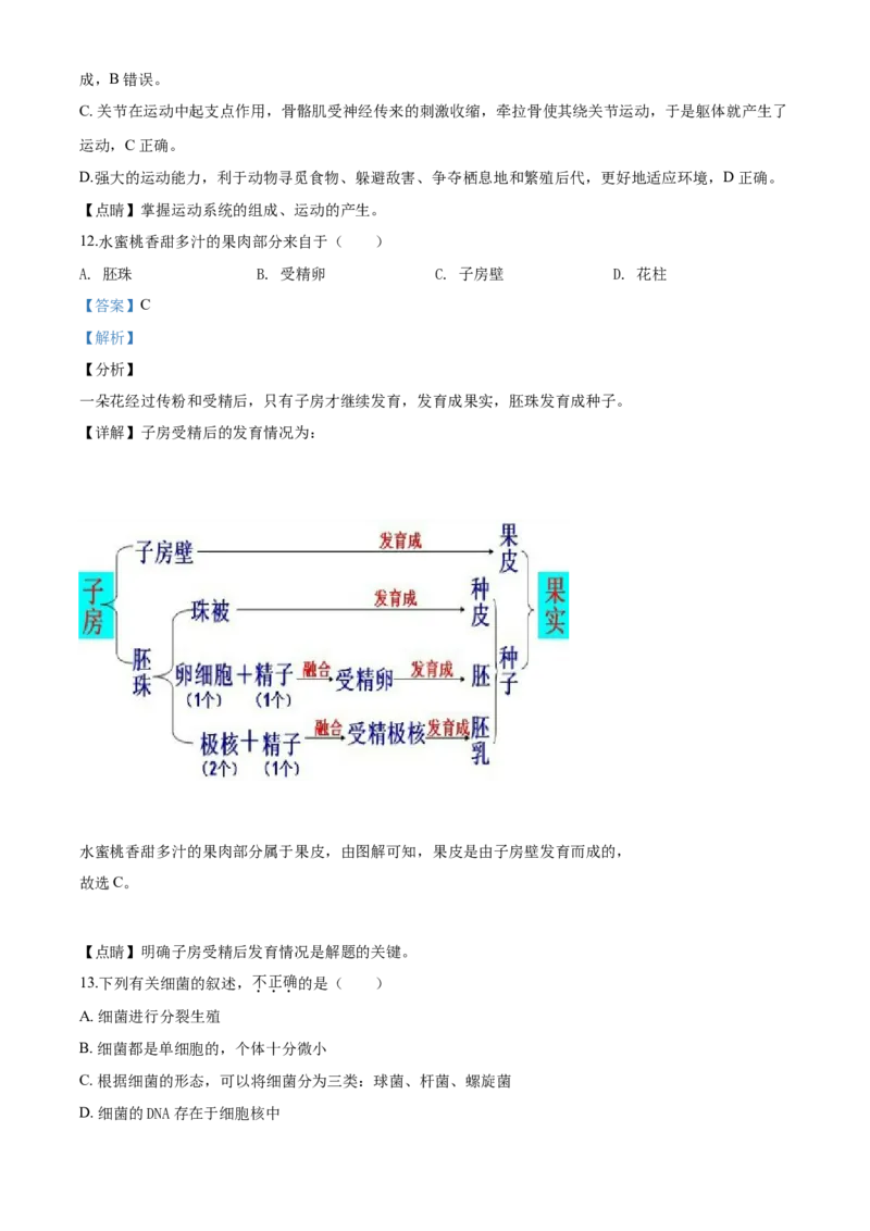 《2020年辽宁省营口市中考生物试题（解析）_12.2026年4月全国各地高考模拟卷_2026版初中金考卷•45套中考试卷汇编系列合集_全国版中考真题(1)_辽宁各地中考_辽宁生物（24）_营口生物15-22》第6页预览