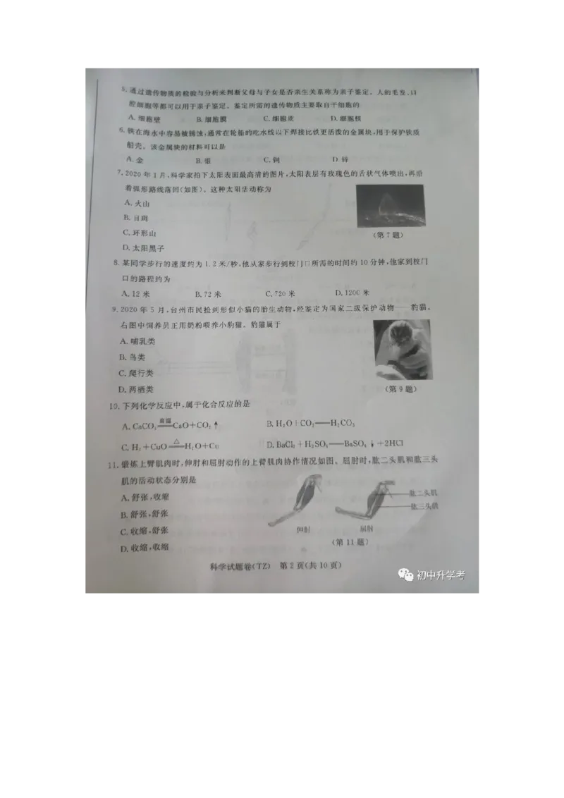 《2020浙江台州化学试卷+答案(图片word版)_12.2026年4月全国各地高考模拟卷_2026版初中金考卷•45套中考试卷汇编系列合集_全国版中考真题(1)_各省市《历年中考真题》2013-2024(10)》第3页预览