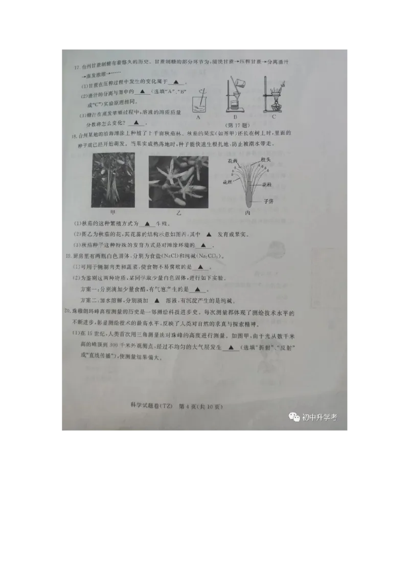 《2020浙江台州化学试卷+答案(图片word版)_12.2026年4月全国各地高考模拟卷_2026版初中金考卷•45套中考试卷汇编系列合集_全国版中考真题(1)_各省市《历年中考真题》2013-2024(10)》第5页预览