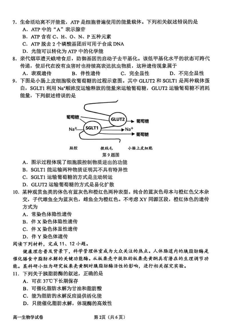 《浙江省衢州市2025-2026学年高一下学期期末生物试题_2024-2027高一（7-7月题库）(1)_2026年06月高一试卷_260618浙江省衢州市2025-2026学年高一下学期6月期末考试（全）》第2页预览