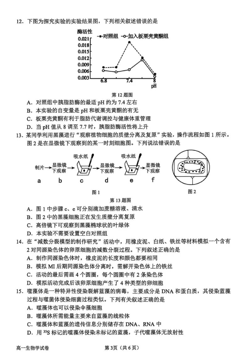 《浙江省衢州市2025-2026学年高一下学期期末生物试题_2024-2027高一（7-7月题库）(1)_2026年06月高一试卷_260618浙江省衢州市2025-2026学年高一下学期6月期末考试（全）》第3页预览