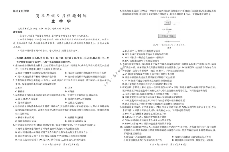 《27届9月广东领航高三·生物学_广东省上进联考2027届高三上学期9月供题训练（全科）_广东省上进联考2027届高三上学期9月供题训练生物试题（含答案）_生物学》第1页预览