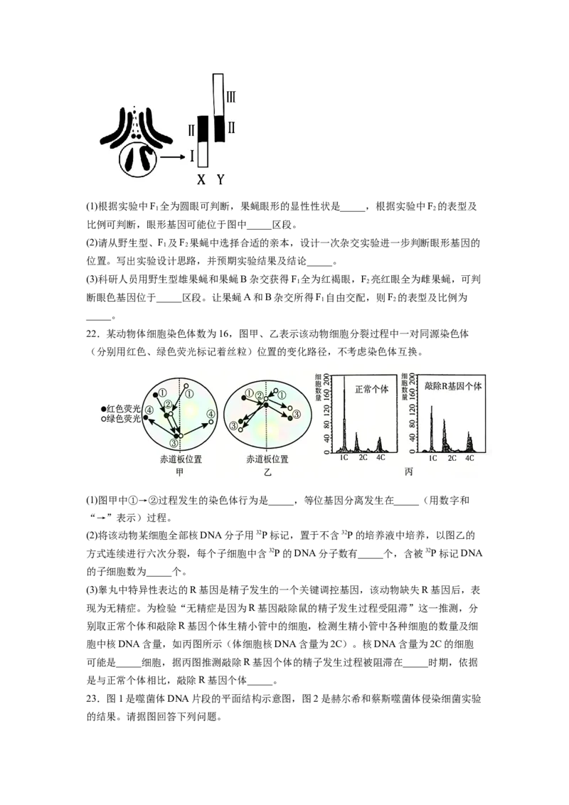 《山东省烟台市2025—2026学年度第二学期期中学业水平诊断高一生物（含答案）_2024-2027高一（7-7月题库）(1)_2026年05月高一试卷_260528山东省烟台市2025-2026学年高一下学期期中学业水平诊断》第7页预览