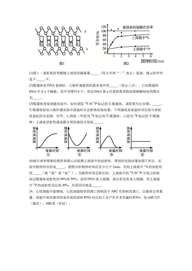 《山东省烟台市2025—2026学年度第二学期期中学业水平诊断高一生物（含答案）_2024-2027高一（7-7月题库）(1)_2026年05月高一试卷_260528山东省烟台市2025-2026学年高一下学期期中学业水平诊断》第8页预览