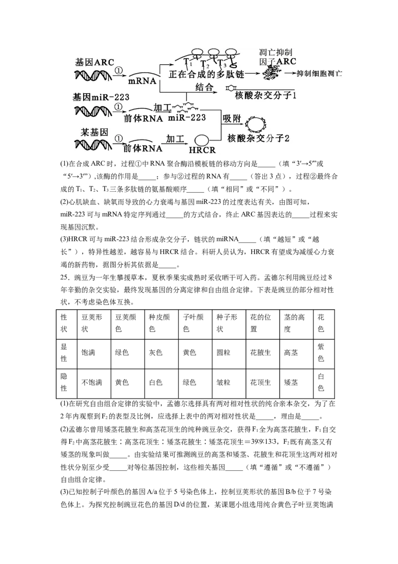 《山东省烟台市2025—2026学年度第二学期期中学业水平诊断高一生物（含答案）_2024-2027高一（7-7月题库）(1)_2026年05月高一试卷_260528山东省烟台市2025-2026学年高一下学期期中学业水平诊断》第9页预览