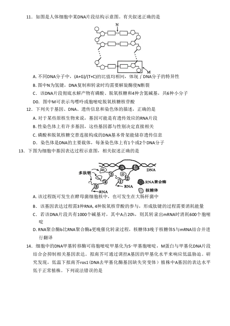 《河南省南阳市六校2025-2026学年高一下学期6月阶段检测生物试题（图片版，无答案）_2024-2027高一（7-7月题库）(1)_2026年06月高一试卷》第4页预览