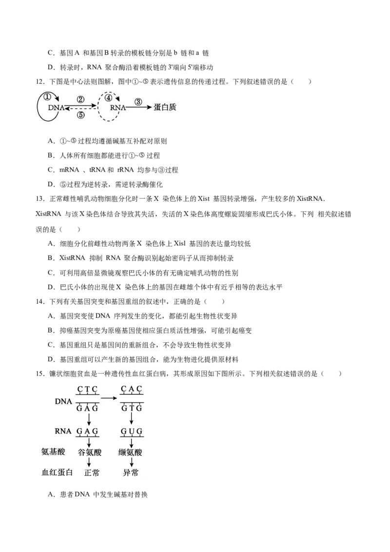 《江苏省常州高级中学2025-2026学年高一下学期5月阶段检测试题生物Word版含答案_2024-2027高一（7-7月题库）(1)_2026年06月高一试卷》第4页预览