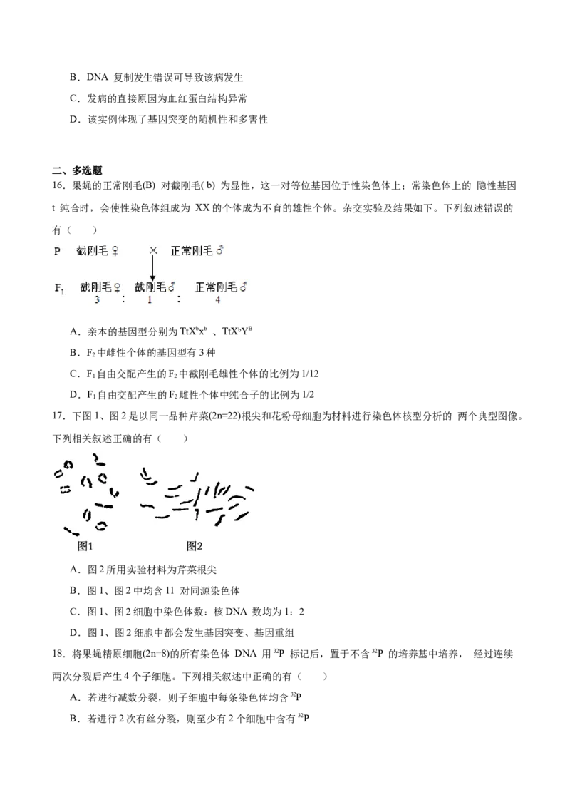 《江苏省常州高级中学2025-2026学年高一下学期5月阶段检测试题生物Word版含答案_2024-2027高一（7-7月题库）(1)_2026年06月高一试卷》第5页预览