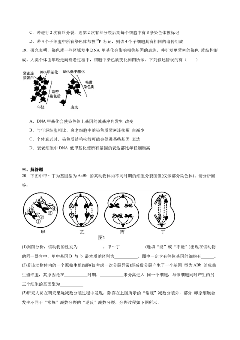 《江苏省常州高级中学2025-2026学年高一下学期5月阶段检测试题生物Word版含答案_2024-2027高一（7-7月题库）(1)_2026年06月高一试卷》第6页预览