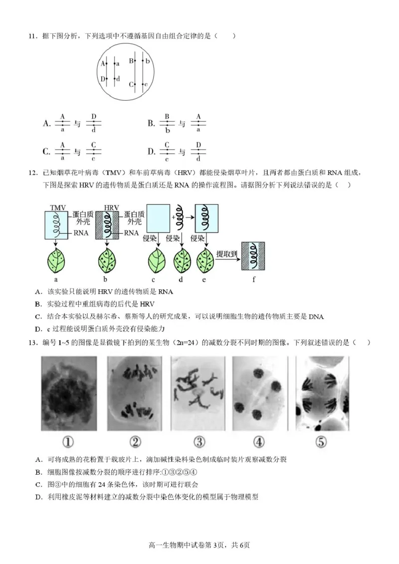 《广西省玉林市九校2025-2026学年高一下学期期中质量监测生物试卷（图片版，含答案）_2024-2027高一（7-7月题库）(1)_2026年05月高一试卷》第3页预览