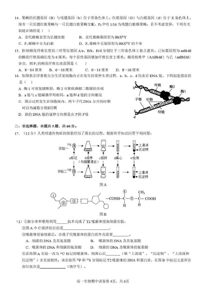 《广西省玉林市九校2025-2026学年高一下学期期中质量监测生物试卷（图片版，含答案）_2024-2027高一（7-7月题库）(1)_2026年05月高一试卷》第4页预览