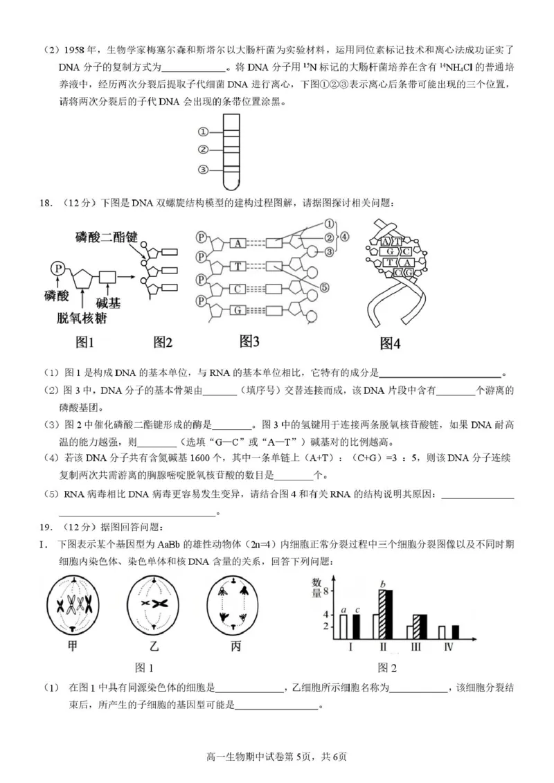 《广西省玉林市九校2025-2026学年高一下学期期中质量监测生物试卷（图片版，含答案）_2024-2027高一（7-7月题库）(1)_2026年05月高一试卷》第5页预览