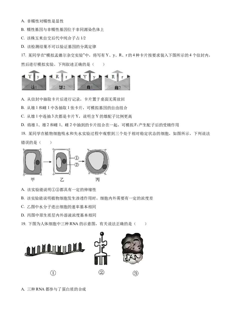 《浙江省浙里特色联盟2025学年第二学期中联考高一年级生物学学科试题（原卷版）_2024-2027高一（7-7月题库）(1)_2026年05月高一试卷》第5页预览