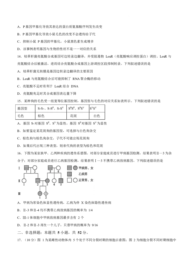 《河南省新乡市2025-2026学年高一下学期5月阶段检测生物试卷_2024-2027高一（7-7月题库）(1)_2026年06月高一试卷_260612河南省新乡市2025-2026学年高一下学期5月阶段检测试题》第4页预览