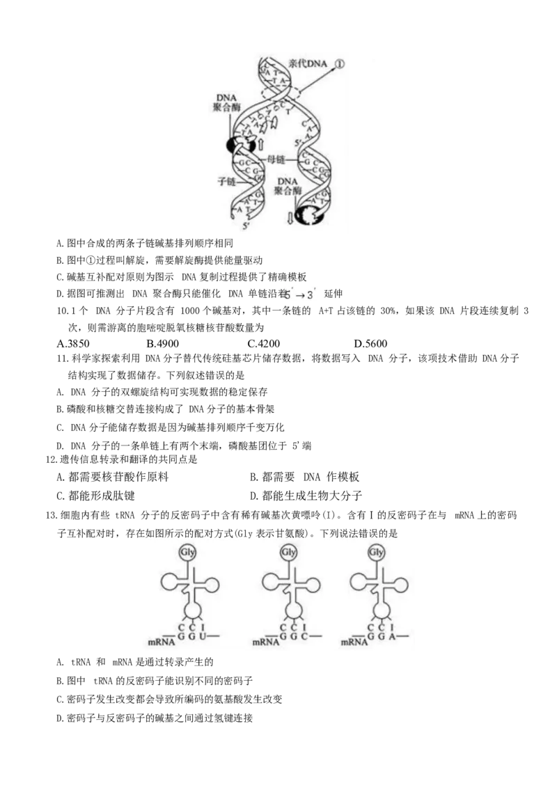 《河北省雄安新区部分高中2025-2026学年高一下学期5月期中生物试卷_2024-2027高一（7-7月题库）(1)_2026年06月高一试卷_260613河北省雄安新区部分高中2025-2026学年高一下学期5月期中》第3页预览