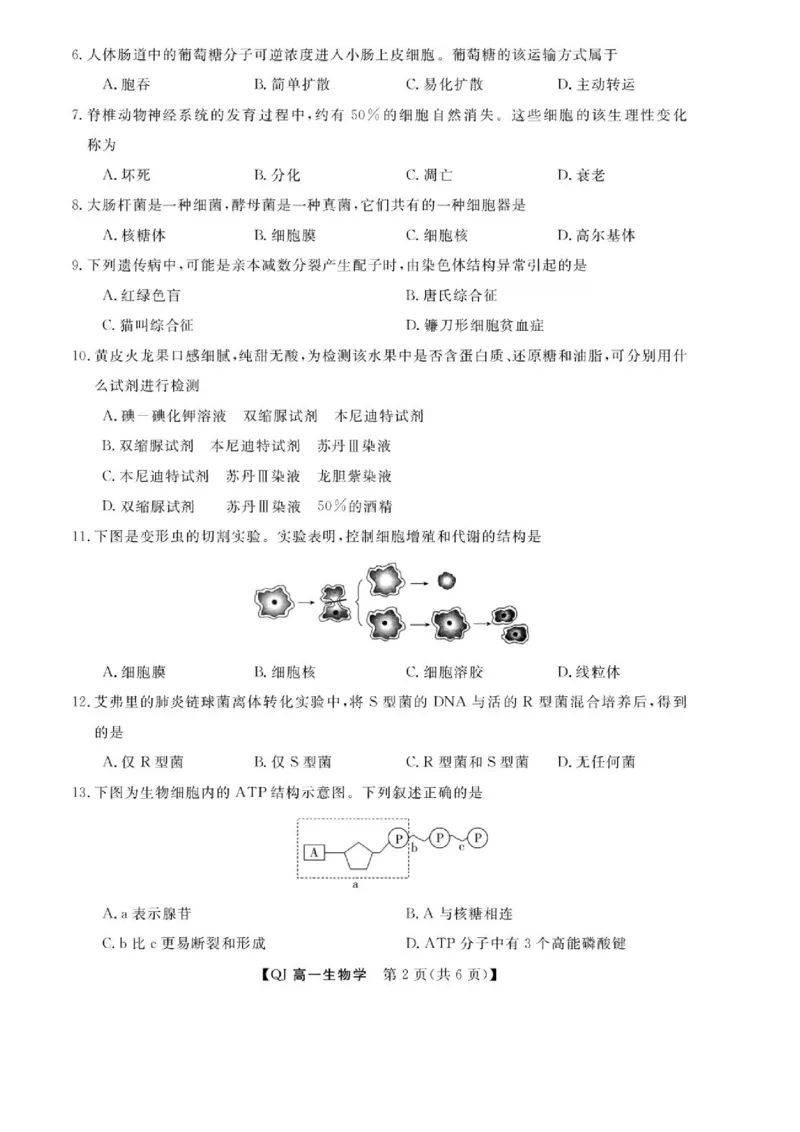 《浙江省强基联盟2025-2026学年高一下学期6月阶段检测生物试题_2024-2027高一(7-7月题库)(1)_2026年06月高一试卷_260616浙江省强基联盟2025-2026学年高一下学期6月阶段检测》第2页预览