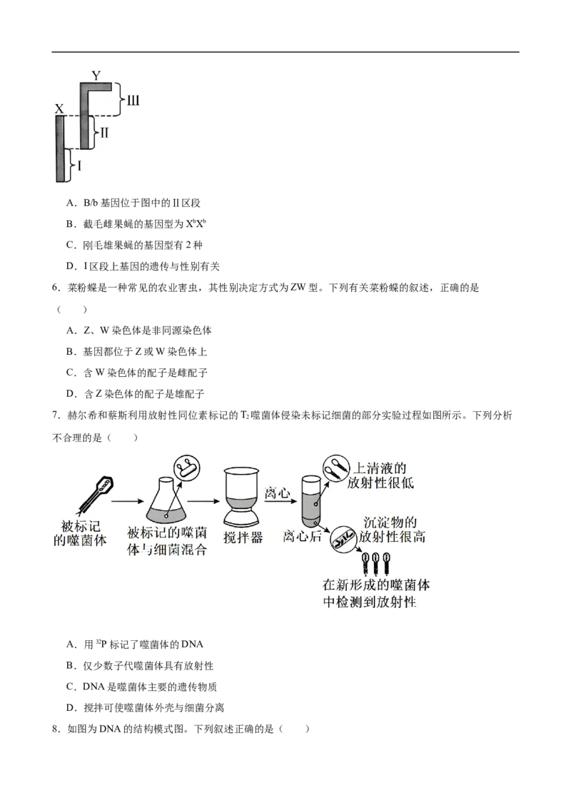《广西河池市第二高级中学等校2025-2026学年高一下学期5月学科素养学情自测生物试卷（含答案）_2024-2027高一（7-7月题库）(1)_2026年06月高一试卷》第2页预览
