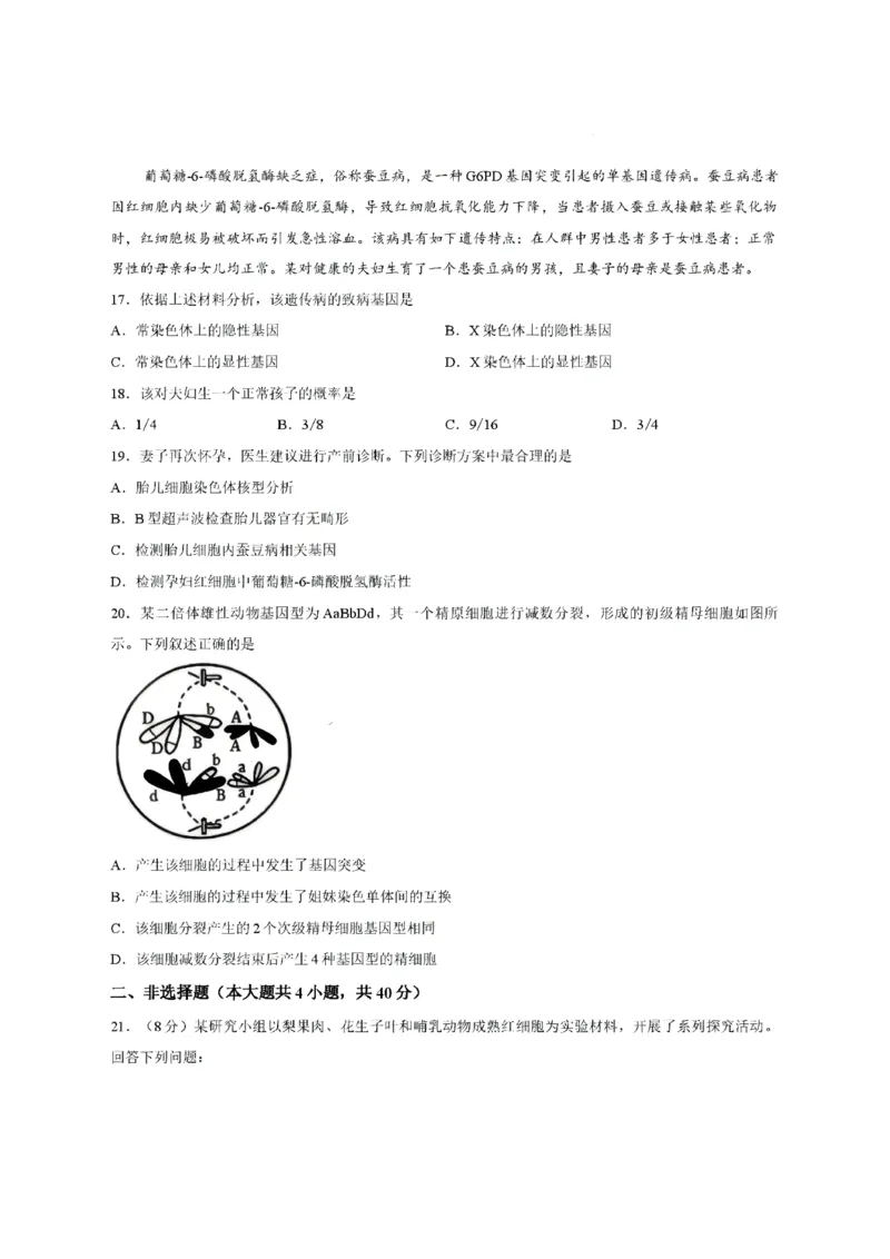 《浙江省嘉兴市2025-2026学年高一下学期6月期末检测生物试题含答案_2024-2027高一（7-7月题库）(1)_2026年06月高一试卷_260627浙江省嘉兴市2025-2026学年高一下学期6月期末检测（全）》第4页预览