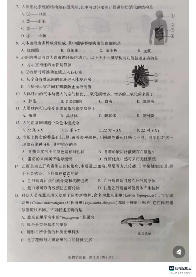 《2025年北京市朝阳区中考生物真题_12.2026年4月全国各地高考模拟卷_2026版初中金考卷•45套中考试卷汇编系列合集_全国版中考真题(1)_2025年全国中考真题答案（按省市分类）(10)_北京市》第2页预览