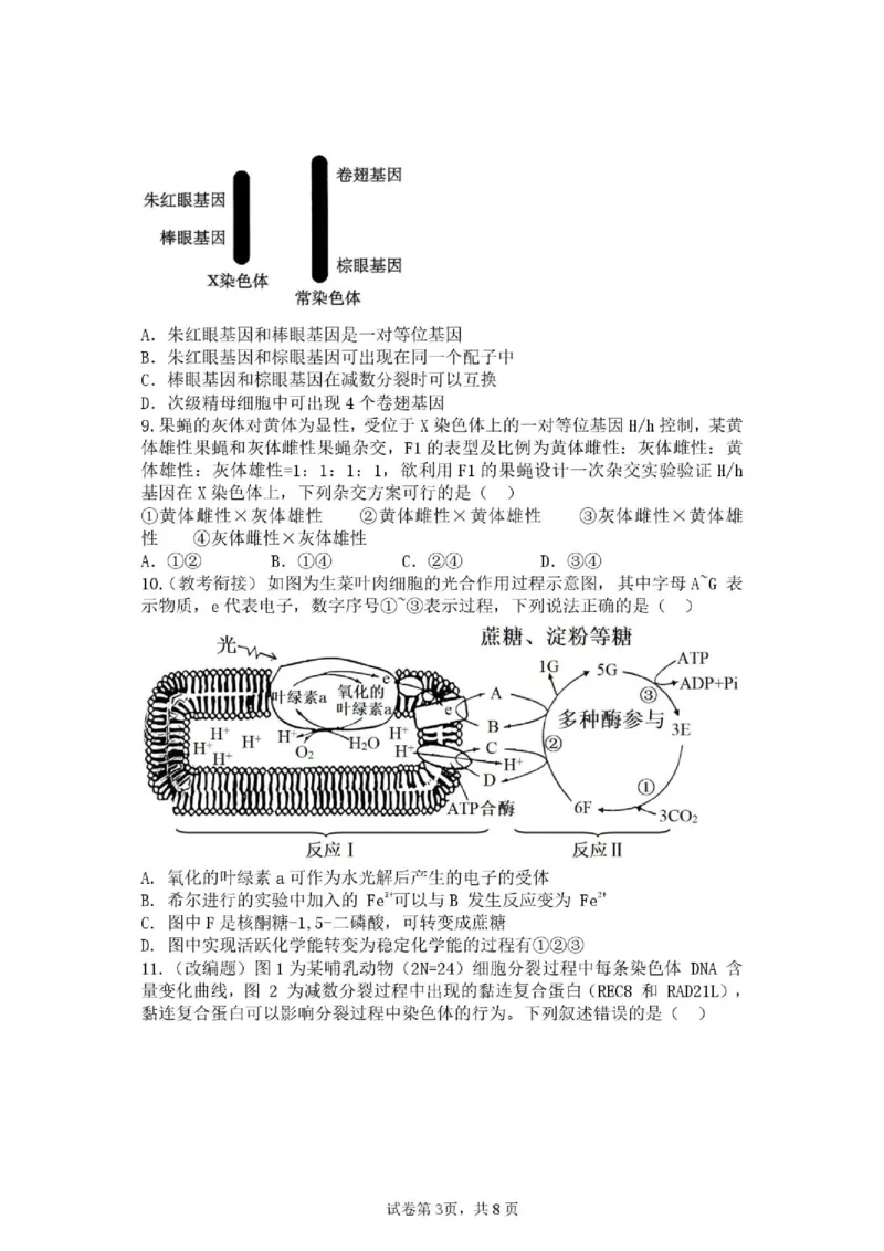 《生物_2024-2027高一（7-7月题库）(1)_2026年06月高一试卷_260619重庆市渝西中学2025-2026学年高一下学期6月阶段检测》第3页预览
