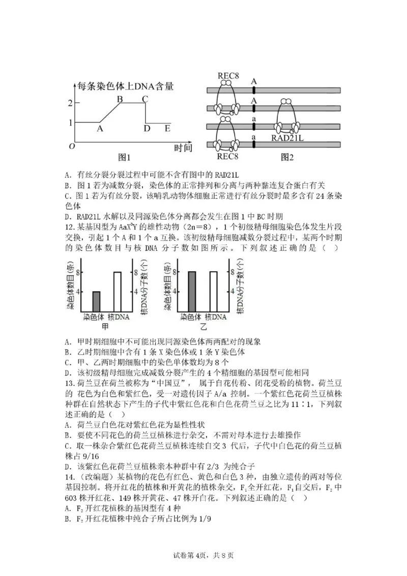 《生物_2024-2027高一（7-7月题库）(1)_2026年06月高一试卷_260619重庆市渝西中学2025-2026学年高一下学期6月阶段检测》第4页预览