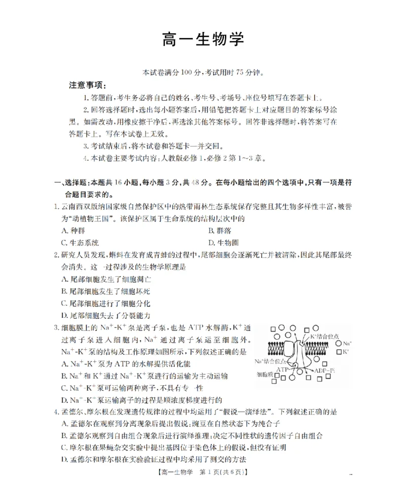 《生物_扫描版_2024-2027高一（7-7月题库）(1)_2026年05月高一试卷_260519云南省2025-2026学年高一下学期4月联考（全）》第1页预览